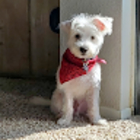 Meet your Posher, Eric - Picture 1 of 1